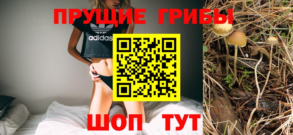 Галлюциногенные грибы мицелий Новотроицк